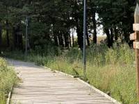 Тропа на Эспланаде открыта для посетителей