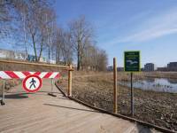 Часть болотной тропы Эспланада закрыта до 1 августа в период гнездования птиц.