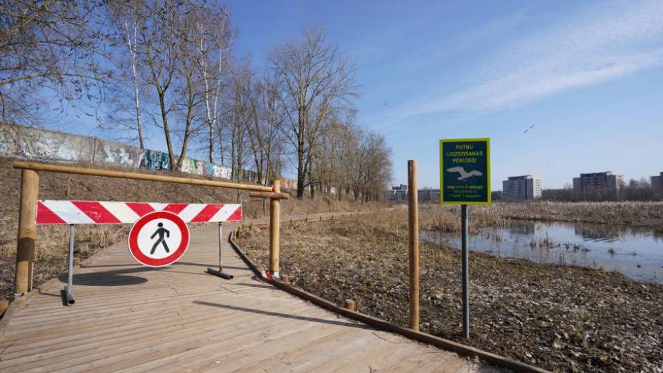 Часть болотной тропы Эспланада закрыта до 1 августа в период гнездования птиц.